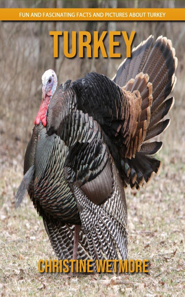 Turkey - Fun and Fascinating Facts and Pictures About Turkey main product photo