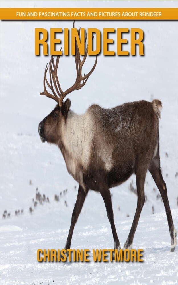 Reindeer - Fun and Fascinating Facts and Pictures About Reindeer main product photo