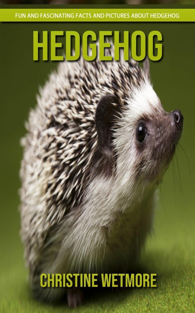 Hedgehog - Fun and Fascinating Facts and Pictures About Hedgehog main product photo