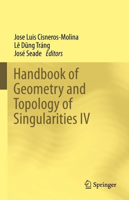 Handbook of Geometry and Topology of Singularities IV main product photo