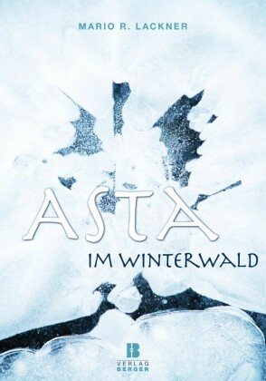 Asta im Winterwald E-Book