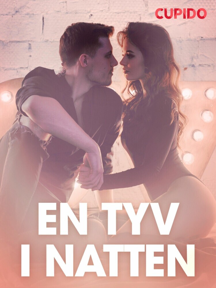En tyv i natten - erotiske noveller main product photo