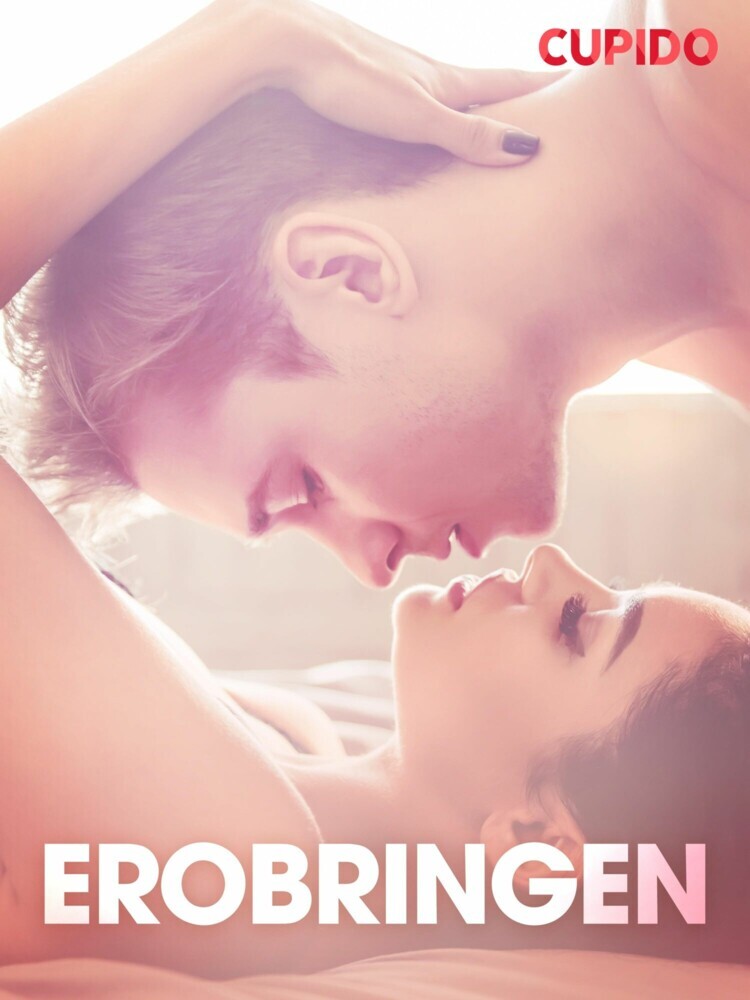 Erobringen - erotiske noveller main product photo