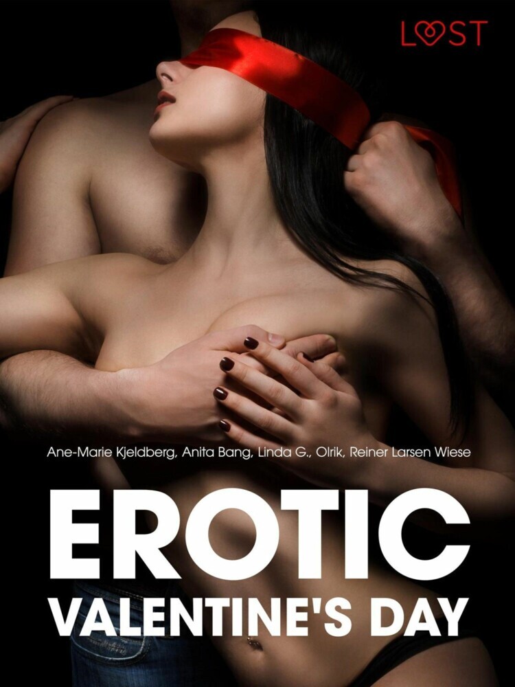 Erotic Valentine's Day - 6 erotiske historier main product photo