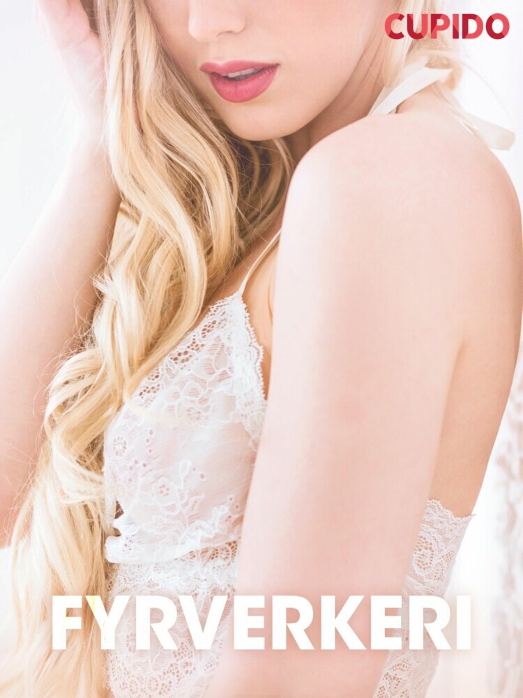 Fyrverkeri - erotiske noveller main product photo
