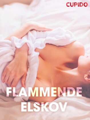 Flammende elskov - erotiske noveller (NO)