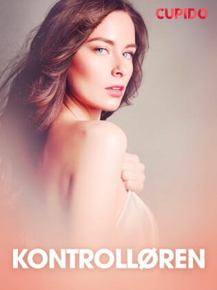 Kontrolløren - erotiske noveller