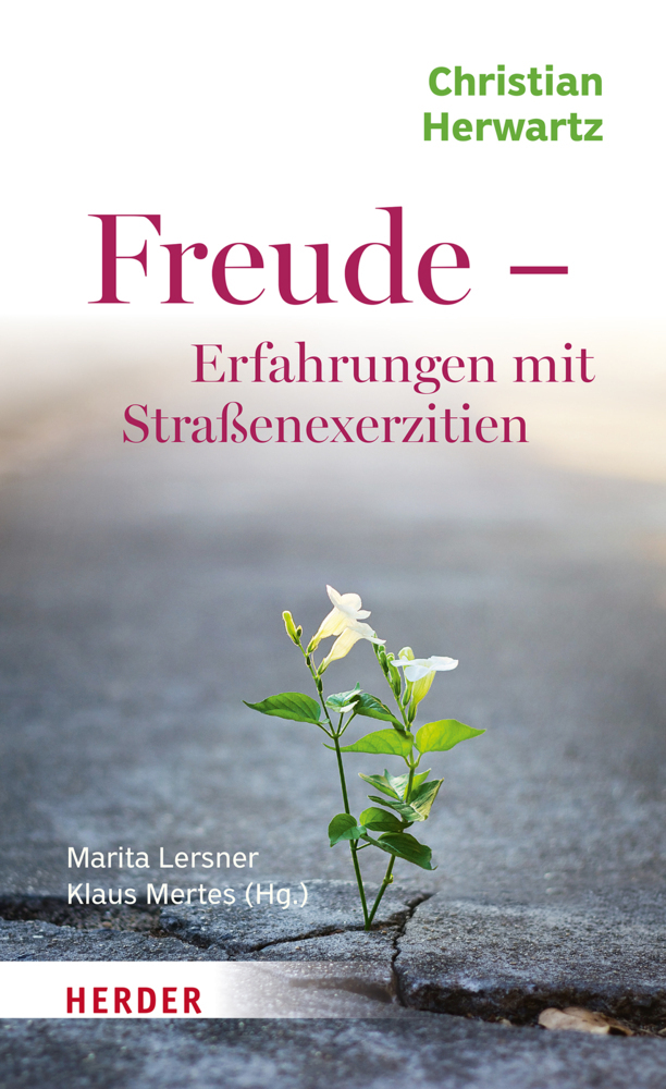 Freude - Erfahrungen mit Straßenexerzitien main product photo