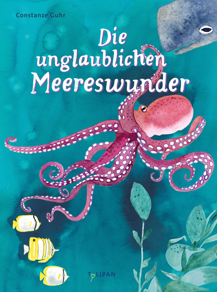 Die unglaublichen Meereswunder main product photo