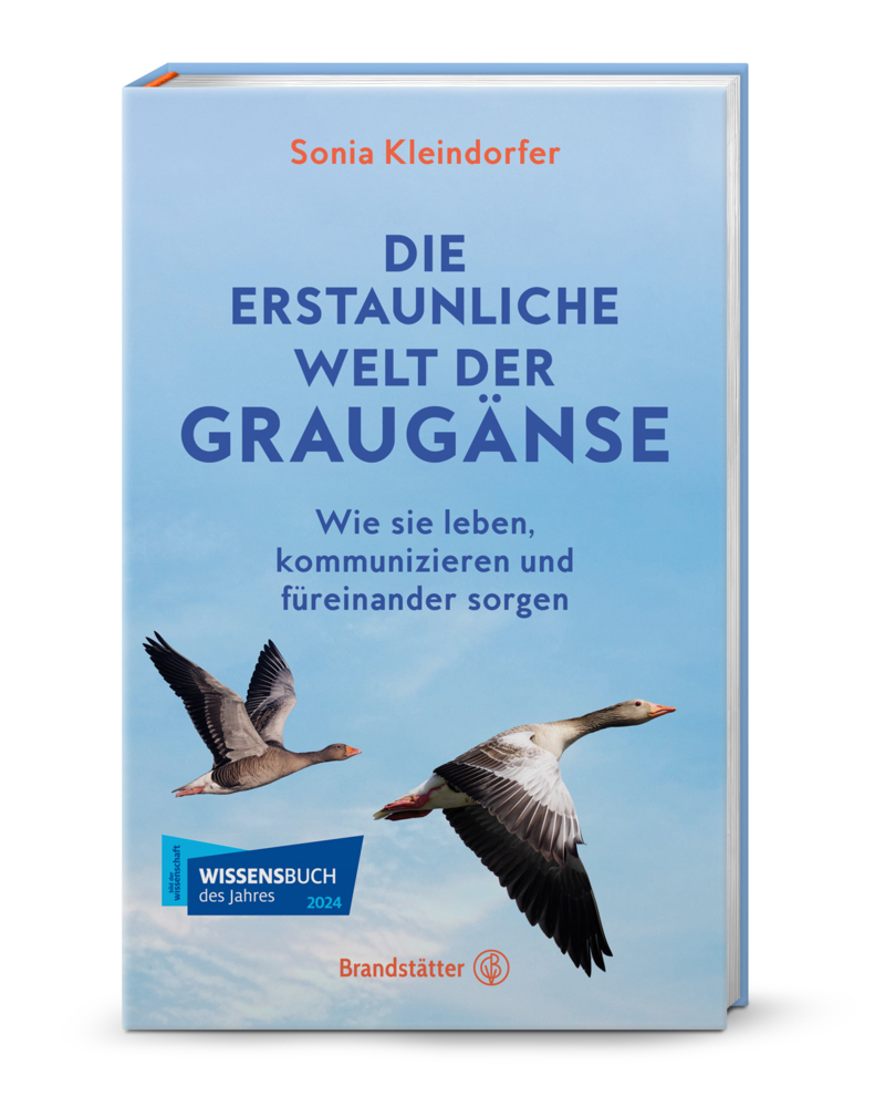 Die erstaunliche Welt der Graugänse main product photo