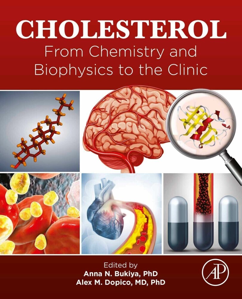 Cholesterol main product photo