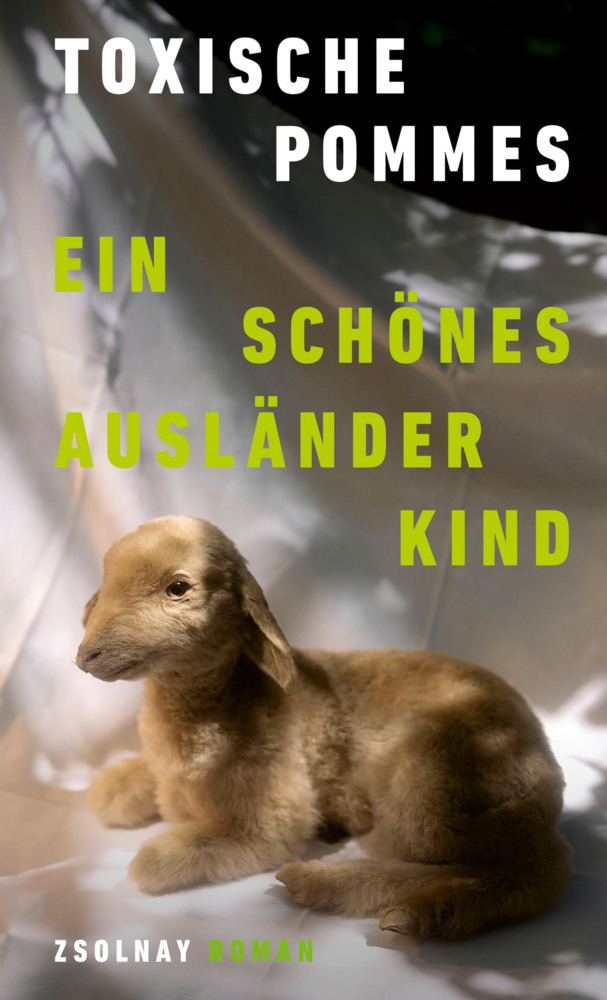 Ein schönes Ausländerkind main product photo