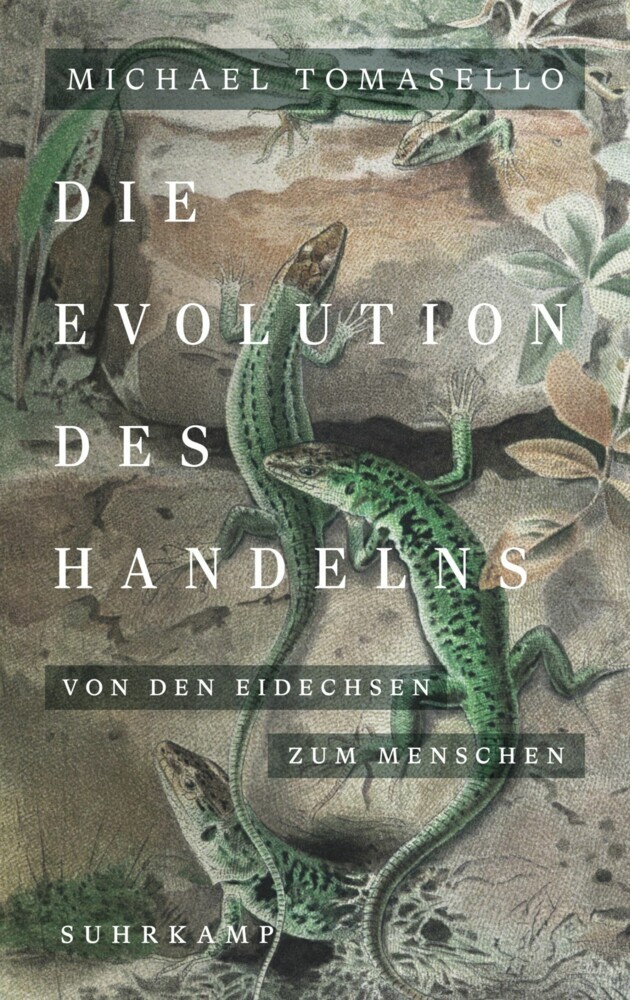 Die Evolution des Handelns main product photo