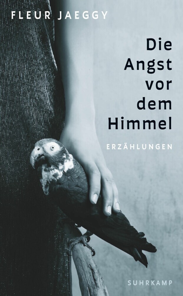 Die Angst vor dem Himmel main product photo