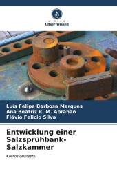 Entwicklung einer Salzsprühbank-Salzkammer