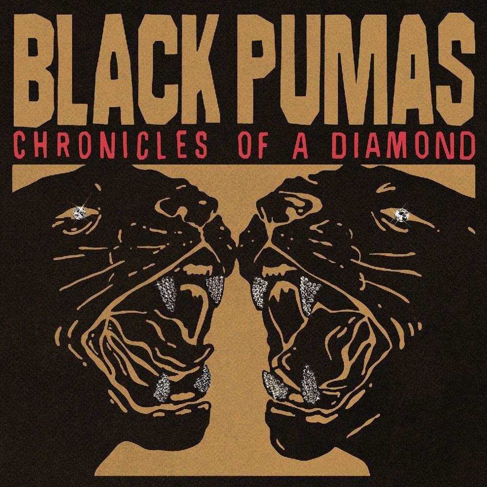Chronicles Of A Diamond, 1 Audio-CD main product photo