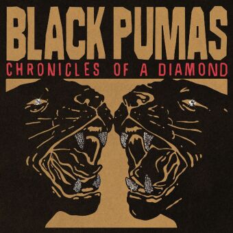 Chronicles Of A Diamond, 1 Audio-CD