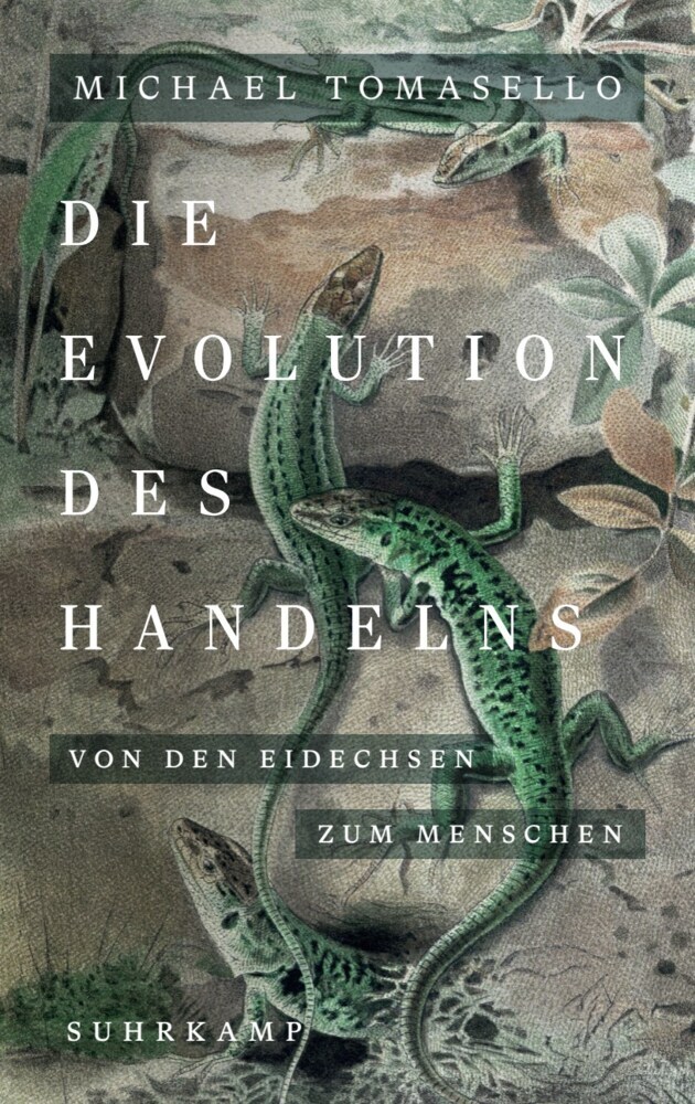 Die Evolution des Handelns main product photo