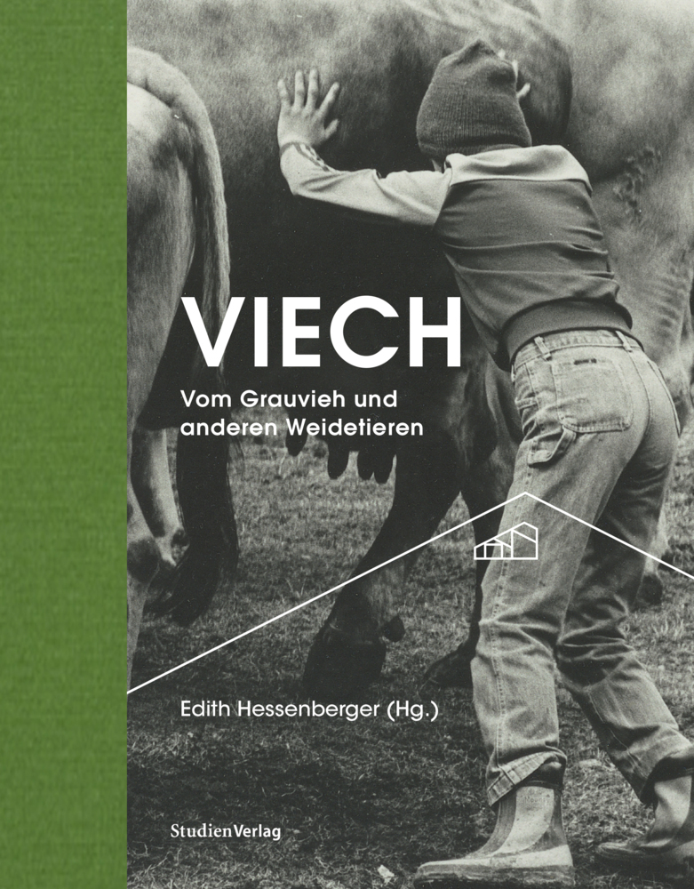 Viech main product photo
