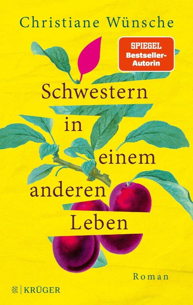 Schwestern in einem anderen Leben main product photo