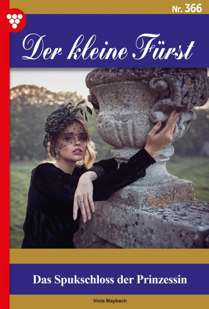 Das Spukschloss der Prinzessin main product photo