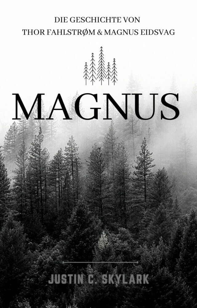 Magnus main product photo