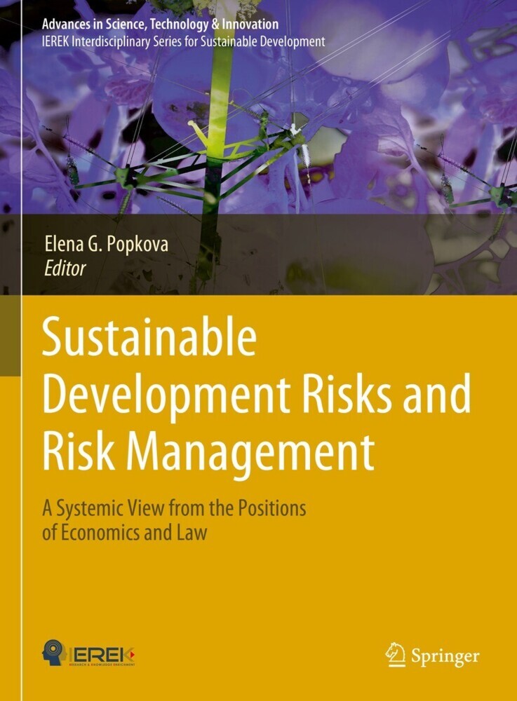Sustainable Development Risks and Risk Management main product photo