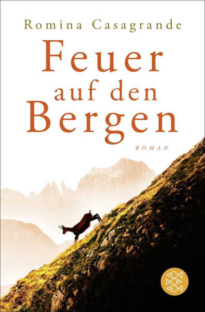 Feuer auf den Bergen main product photo