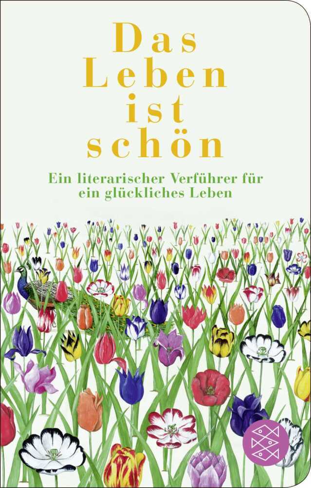 Das Leben ist schön main product photo