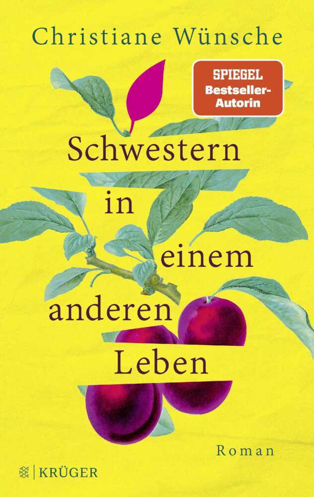 Schwestern in einem anderen Leben main product photo