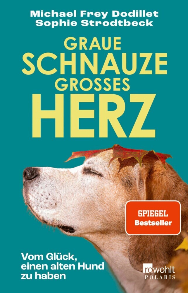 Graue Schnauze, großes Herz main product photo