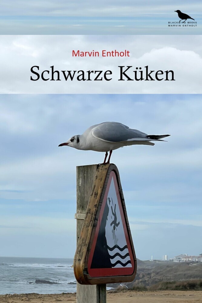 Schwarze Küken main product photo