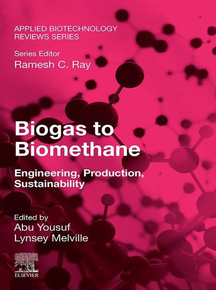 Biogas to Biomethane main product photo