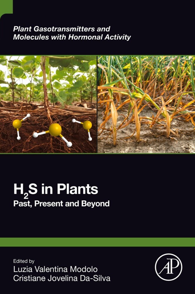 H2S in Plants main product photo