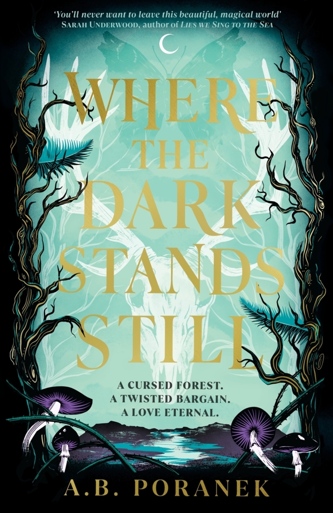 Where the Dark Stands Still main product photo