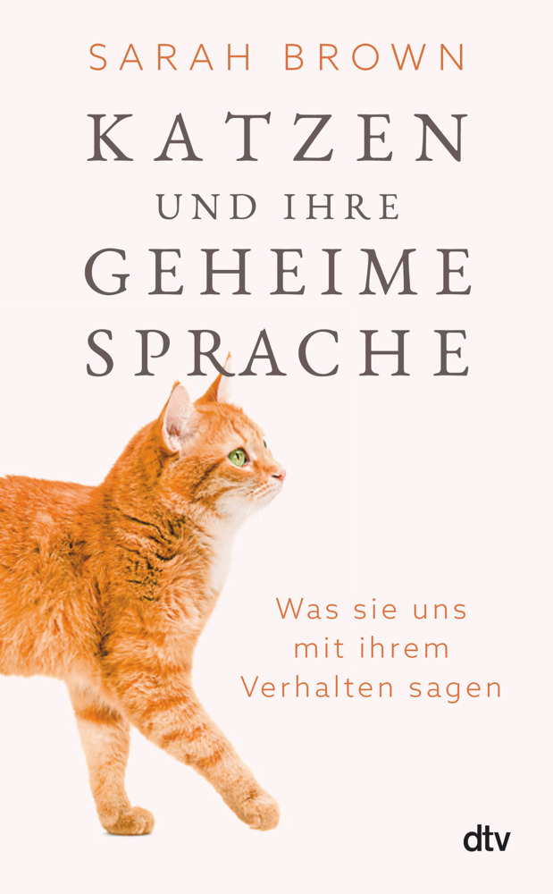 Katzen und ihre geheime Sprache main product photo