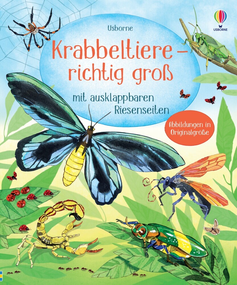 Krabbeltiere - richtig groß main product photo
