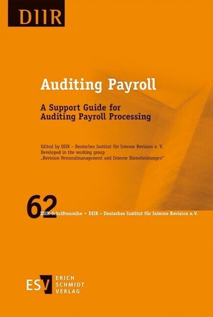 Auditing Payroll main product photo