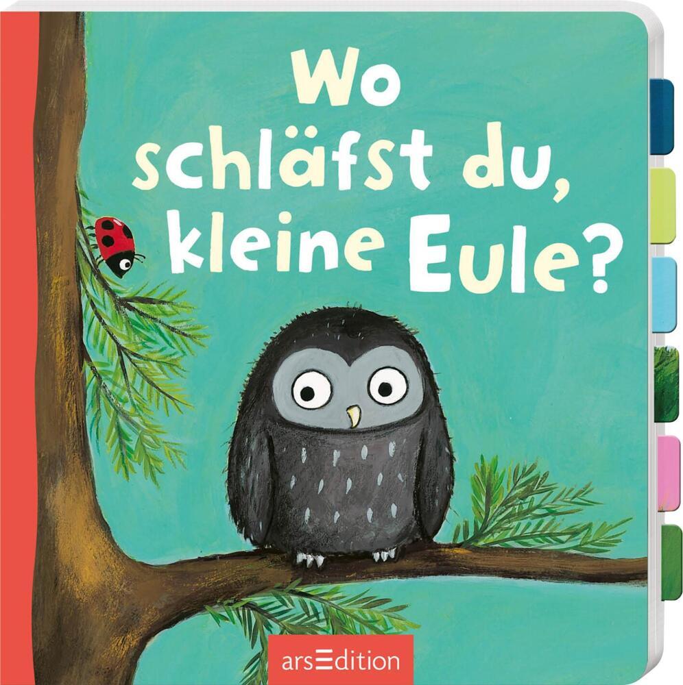 Wo schläfst du, kleine Eule? main product photo