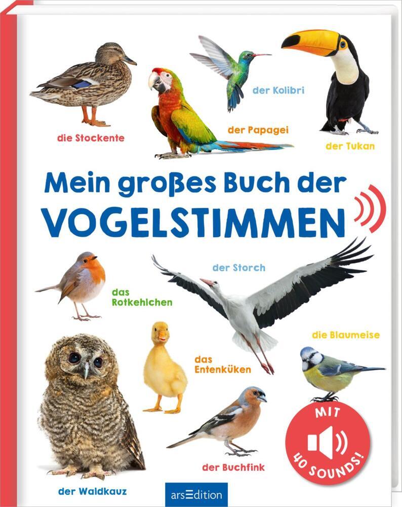 Mein großes Buch der Vogelstimmen main product photo