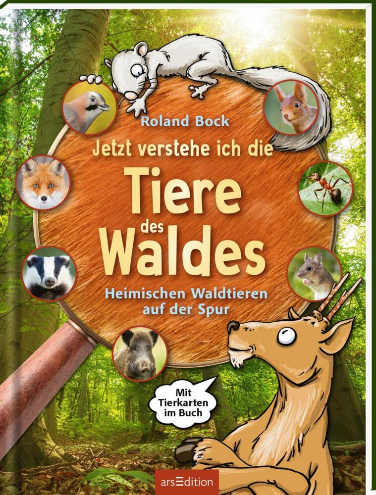 Jetzt verstehe ich die Tiere des Waldes main product photo