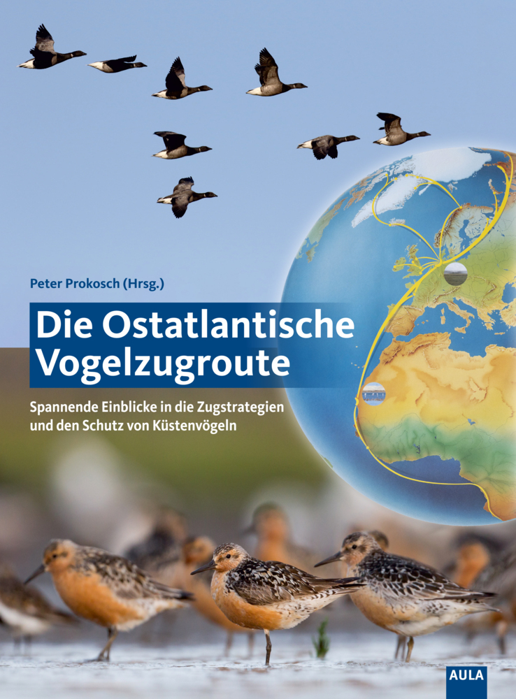 Die Ostatlantische Vogelzugroute main product photo