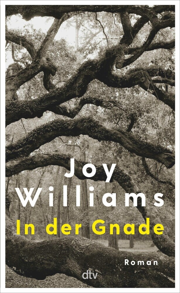 In der Gnade main product photo