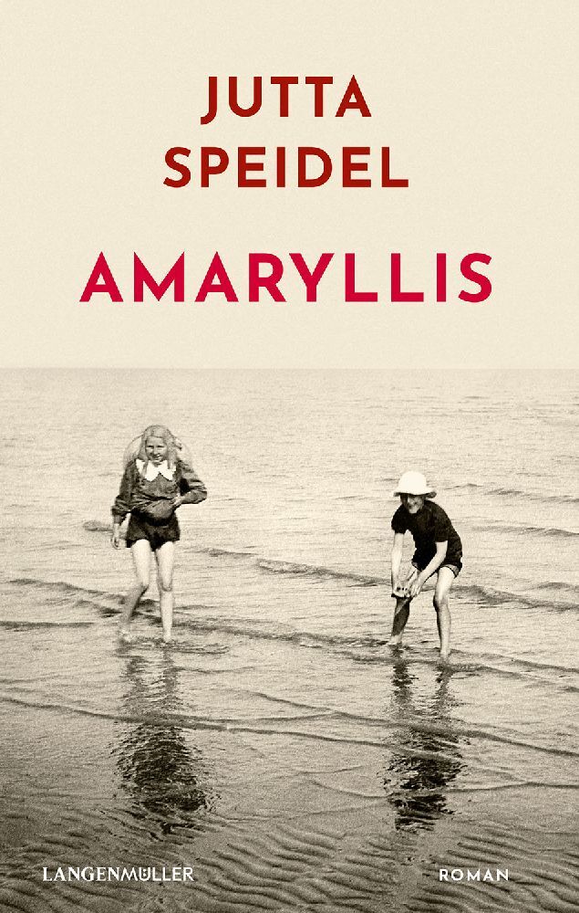 Amaryllis main product photo