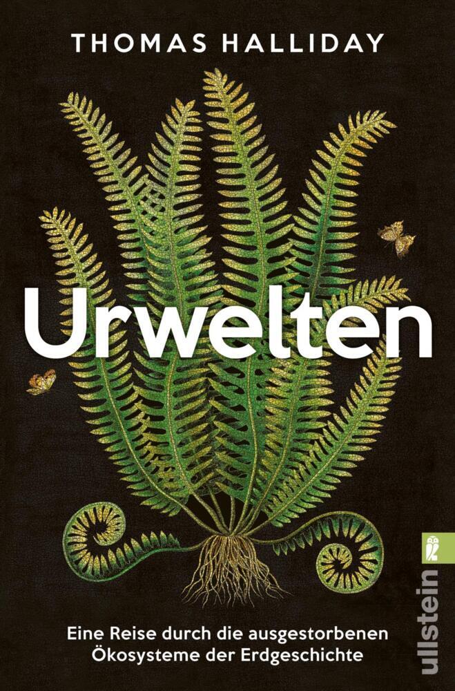 Urwelten main product photo