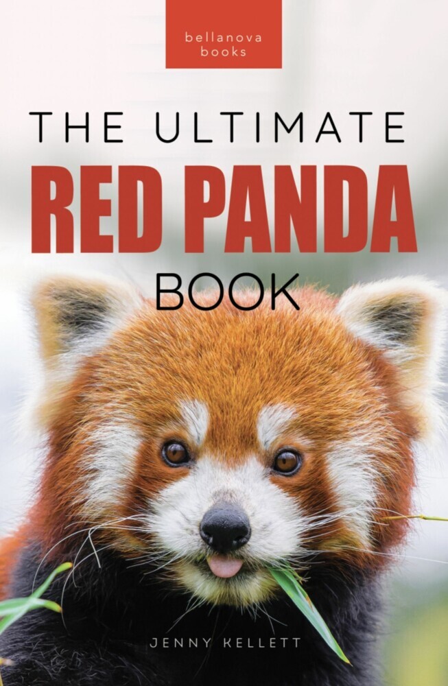Red Pandas The Ultimate Book main product photo