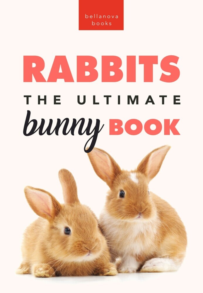 Rabbits The Ultimate Bunny Book main product photo