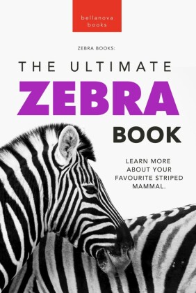 Zebras The Ultimate Zebra Book