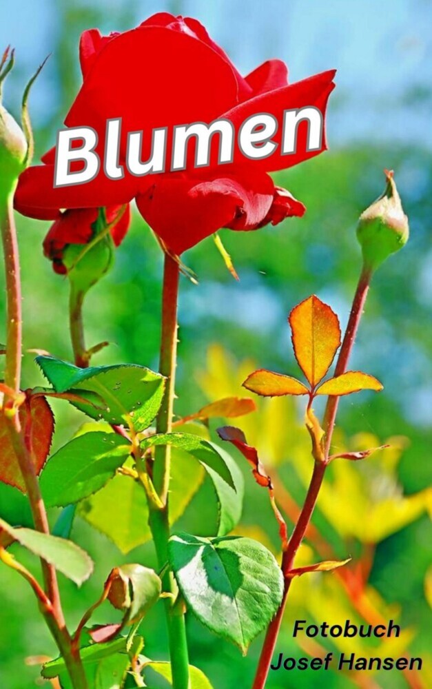 Blumen main product photo