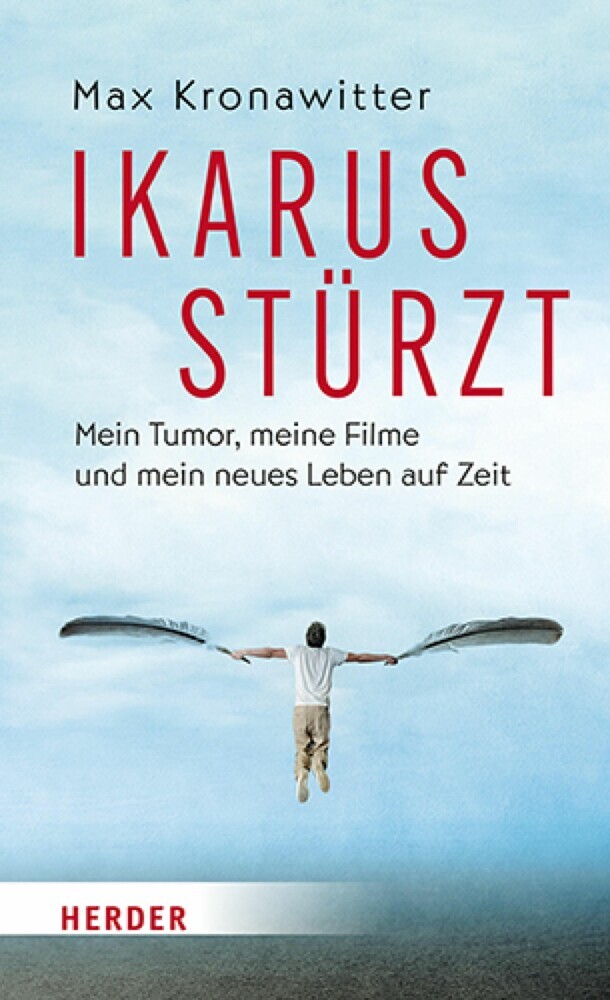 Ikarus stürzt main product photo